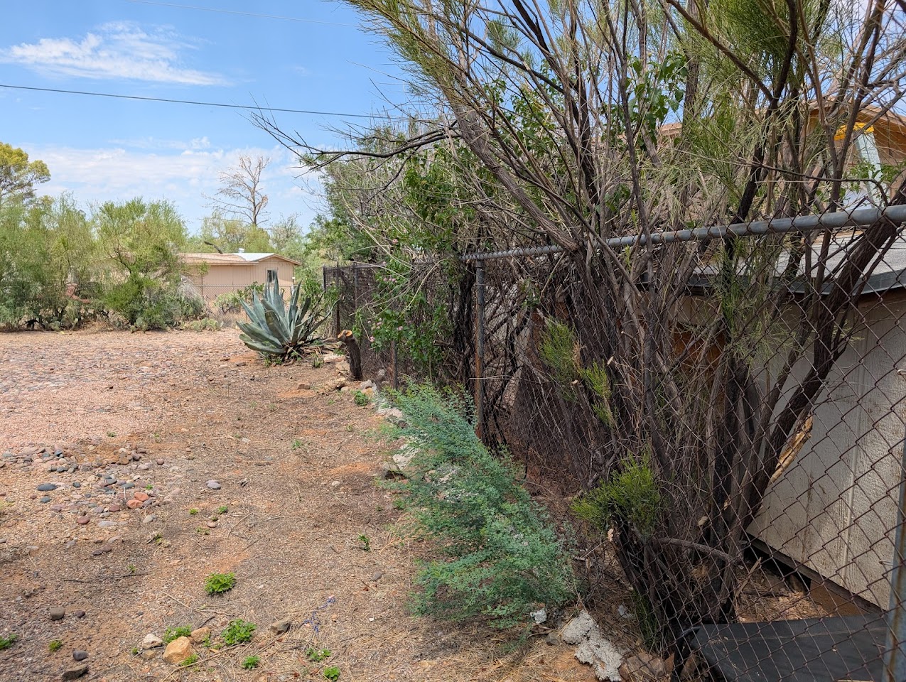 Alexander's garden Service project